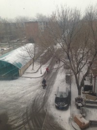 What the heck?!? First snow of this winter
